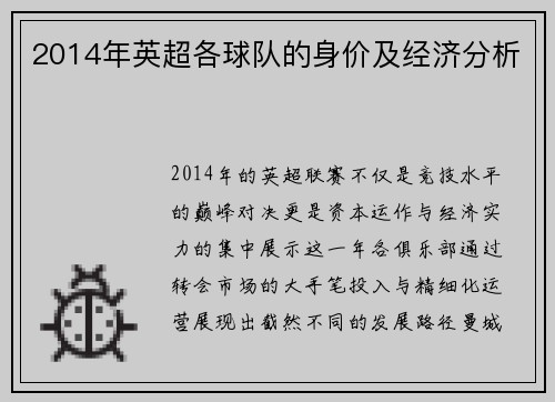 2014年英超各球队的身价及经济分析